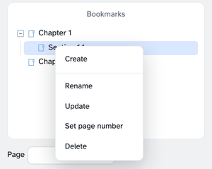 A highlight-selected bookmark row with its right-click menu open: Create, Rename, Update, Set page number and Delete