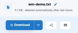 The ready page showing wm-demo.txt — 9.1 KB · deleted automatically after two hours — above the Download button